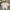 COMME des GARÇONS Vintage Casual T-shirt Pria white photo 1
