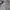 Nike Casual Polo shirt Pria gray photo 2