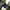 Dr. Martens Y2K Casual Boots Pria navy black photo 1