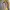 Eider Sportswear Track jacket Pria yellow photo 2
