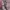 MLB Streetwear Y2K Hat Wanita tan pink photo 2