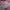 MLB Streetwear Y2K Hat Wanita tan pink photo 1