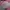 MLB Streetwear Y2K Hat Wanita Tan Pink