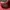 Nike Lolita Sneakers Wanita pink photo 2
