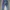 Uniqlo Casual Boyfriend jeans Wanita blue photo 2