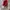 Esprit Y2K Sportswear Handbag Wanita white red photo 2