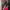 Esprit Y2K Sportswear Handbag Wanita white red photo 5