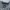 Calvin Klein Vintage Jeans Pria Navy Gray