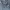 Calvin Klein Vintage Jeans Pria navy gray photo 4