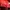 MLB Streetwear Gorpcore Windbreaker Pria Red Orange