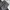 Columbia Gorpcore Windbreaker Pria black gray photo 2