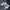 Columbia Gorpcore Windbreaker Pria black gray photo 6