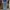 Y2K Skater Jeans Pria blue photo 1