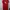 Coquette Minimalist Shirt dress Wanita red photo 1