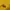 Dickies Skater Casual Pria yellow photo 3