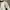 Vintage Jersey Pria white photo 3