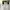 Vintage Jersey Pria white photo 2