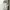 Vintage Jersey Pria white photo 1