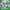 Vintage Sportswear Short Pria green photo 6