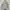 Carhartt Streetwear Hoody Pria gray photo 1