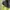 Casual Track jacket Pria green photo 5