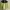 Casual Track jacket Pria green photo 1
