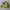 Juicy Couture Y2K Shoulder Bag Wanita Green