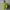 Juicy Couture Y2K Shoulder bag Wanita green photo 3
