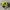 Juicy Couture Y2K Shoulder bag Wanita green photo 2