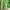 Sportswear Track jacket Pria green photo 2