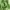 Sportswear Track jacket Pria green photo 6