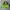 Juicy Couture Y2K Shoulder bag Wanita green photo 1
