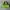 Juicy Couture Y2K Shoulder Bag Wanita Green