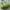 Juicy Couture Y2K Shoulder bag Wanita green photo 2