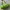 Juicy Couture Y2K Shoulder Bag Wanita Green