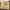 Juicy Couture Y2K Briefcase Wanita brown photo 8