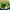 Hummel Sportswear Track jacket Pria green photo 6