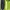 Hummel Sportswear Track jacket Pria green photo 4