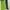 Hummel Sportswear Track jacket Pria green photo 5