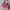 Juicy Couture Y2K Duffel bags & Holdall Wanita purple photo 2