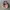 Juicy Couture Y2K Hobo bag Wanita pink photo 1