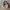 Juicy Couture Y2K Hobo Bag Wanita Pink