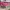 Juicy Couture Y2K Duffel bags & Holdall Wanita purple photo 8
