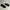 Nike Sportswear Sneakers Pria Black