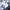 Wilson Streetwear Y2K Jersey Pria white blue photo 7