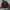 Adidas Vintage Streetwear Sweater Pria burgundy black photo 5