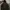 Uniqlo Vintage Streetwear Hoody Pria green brown photo 1