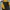 Vintage Y2K Hoody Pria black yellow photo 4