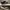 Nike Skater Sneakers Pria Gray