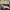 Nike Skater Sneakers Pria gray photo 1